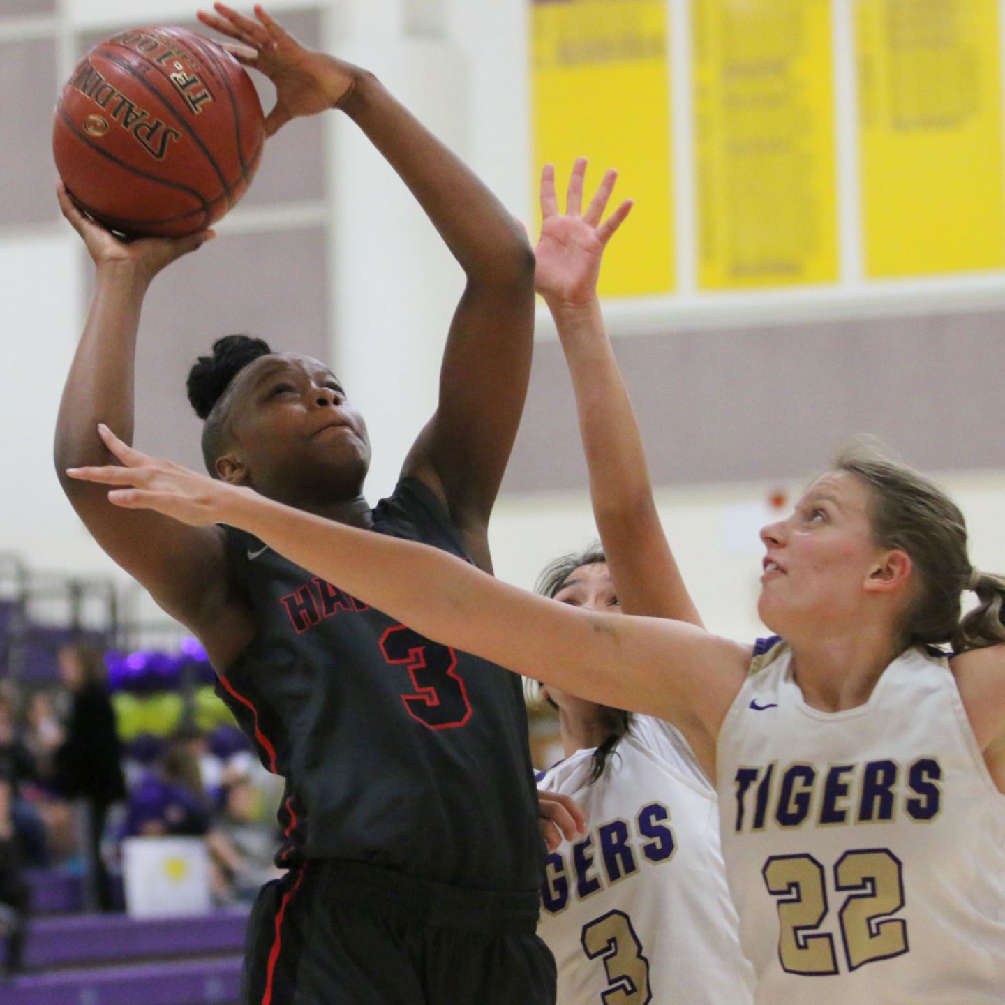 Bullpups defeat Tigers, win 14th WYL title in a row